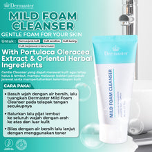 Load image into Gallery viewer, Dermaster Mild Foam Cleanser (3 Pcs)
